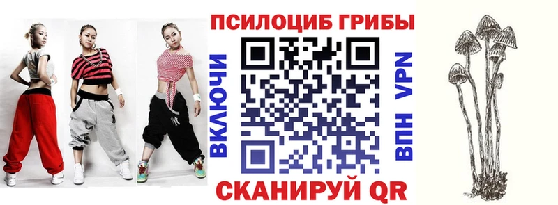 Галлюциногенные грибы Cubensis  Псков 