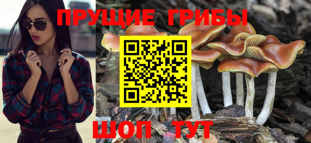 Галлюциногенные грибы мухоморы  Вход с VPN  Псков 