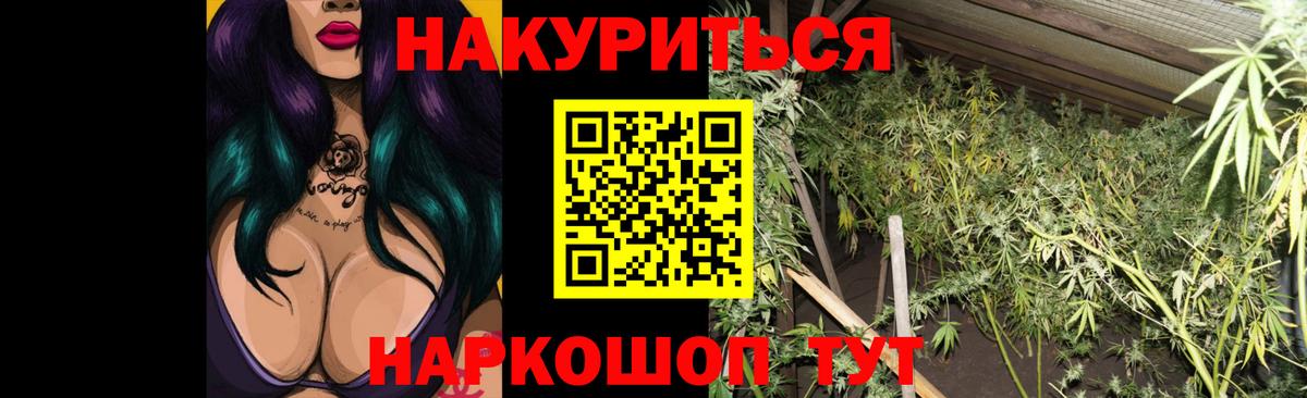 Бошки марихуана тримм  Марихуана марихуана  Псков  Каннабис Bruce Banner  Конопля индика  Вход с VPN 